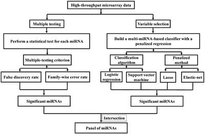 Identification of Serum MicroRNAs as Novel Biomarkers in Esophageal Squamous Cell Carcinoma Using Feature Selection Algorithms